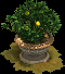image for Flower Tub decoration