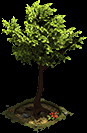 image for Tree decoration